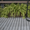 30 PCS Interlocking Deck Tiles Striped Pattern, 12" x 12" Square Light Gray Acacia Hardwood Outdoor Flooring for Patio, Bancony, Pool Side,...
