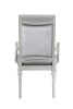 ACME Maverick Arm Chair (Set-2), Fabric & Platinum (2Pc/1Ctn) 61803