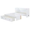 Queen Size Murphy Bed with USB Port and a Large Drawer, White