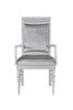 ACME Maverick Arm Chair (Set-2), Fabric & Platinum (2Pc/1Ctn) 61803